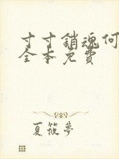 寸寸销魂何生祥全本免费