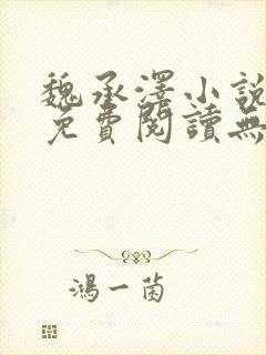 魏承泽小说全文免费阅读无弹窗笔趣