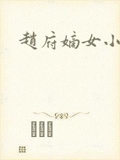 赵府嫡女小说封面