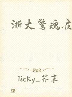 浙大惊魂夜封面