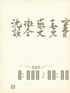 沈微燕王穿越小说全文免费阅读封面