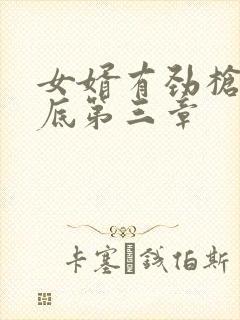 女婿有劲枪枪到底第三章