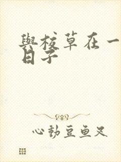 与校草在一起的日子