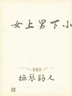 女上男下小说