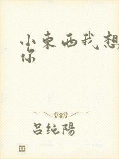 小东西我想弄坏你