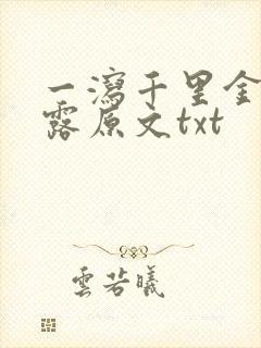 一泻千里金银花露原文txt封面