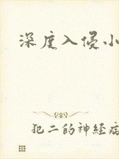 深度入侵小说封面