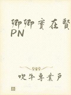 卿卿实在贤良NPN