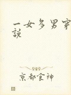 一女多男穿越小说