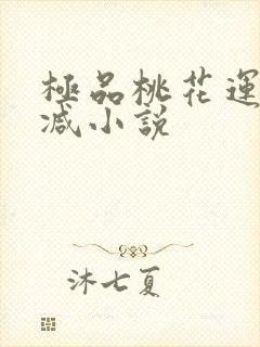 极品桃花运未删减小说封面