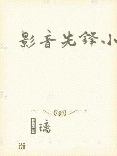 影音先锋小说封面