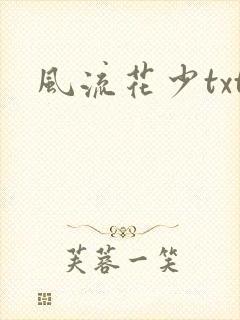 风流花少txt封面