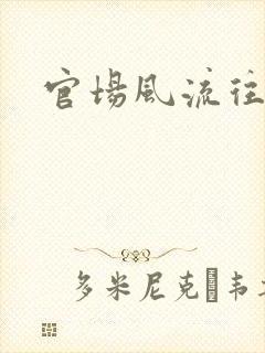 官场风流往事封面