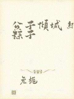 公子倾城 维和粽子