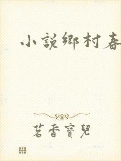 小说乡村春光封面