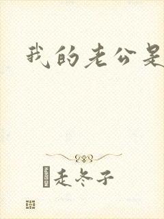 我的老公是军阀