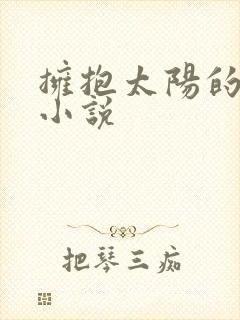 拥抱太阳的月亮小说