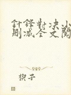 针锋对决小说未删减全文阅读封面