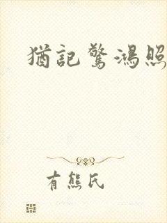 犹记惊鸿照影封面