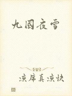 九国夜雪封面