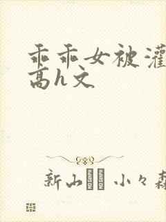 乖乖女被灌满精高h文