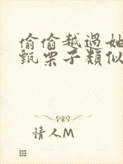 偷偷越过她by甄栗子类似小说