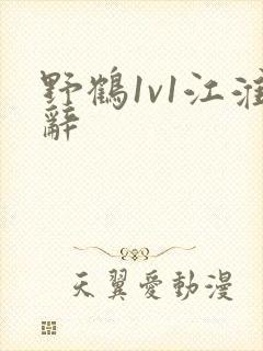 野鹤1v1江淮辞封面