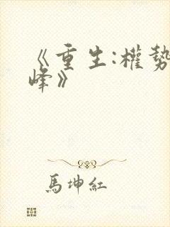 《重生:权势巅峰》