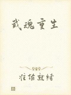 武魂重生封面