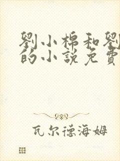 刘小棉和刘易文的小说免费阅读