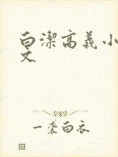 白洁高义小说全文