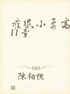 催眠小柔高达第11章