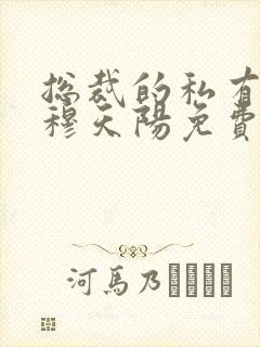 总裁的私有宝贝穆天阳免费