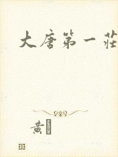 大唐第一庄