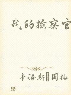 我的检察官先生