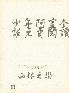 少年阿宾全文小说免费阅读笔趣阁