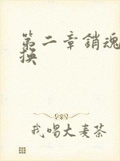 第二章销魂的交换