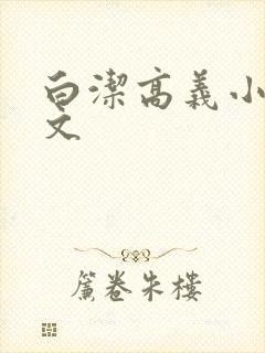 白洁高义小说全文