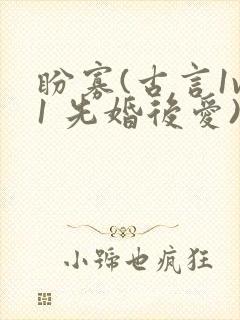 盼寡(古言1v1 先婚后爱)荔枝好多