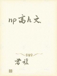 np高h文