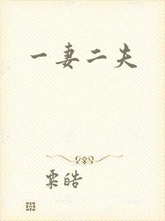 一妻二夫