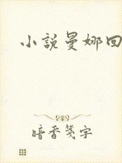 小说曼娜回忆录