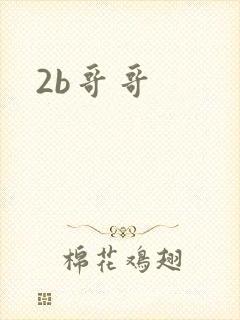 2b哥哥
