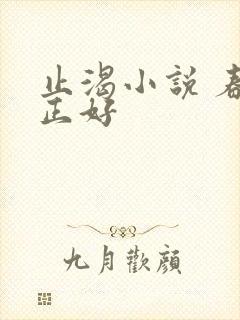 止渴小说 春光正好封面