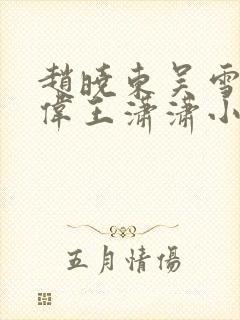 赵晓东吴雪晴郑伟王潇潇小说