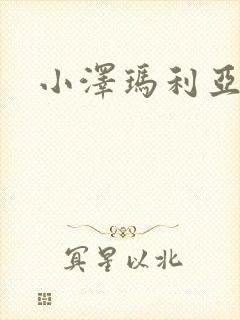 小泽玛利亚作品