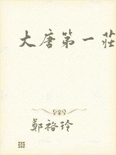 大唐第一庄