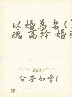 以婚为名 (军魂 高干 婚恋)
