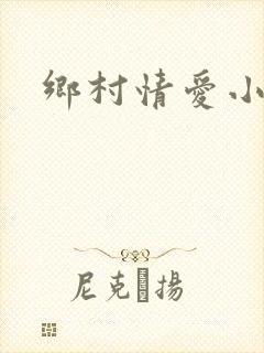 乡村情爱小说