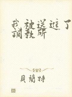 我被送进了私奴调教所